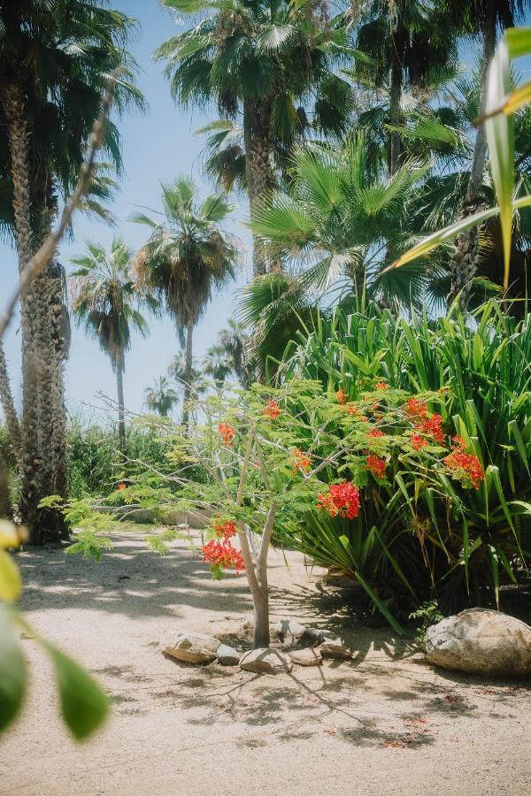 טודוס סנטוס La Poza Boutique Hotel And Spa - Adults 15 Plus מראה חיצוני תמונה